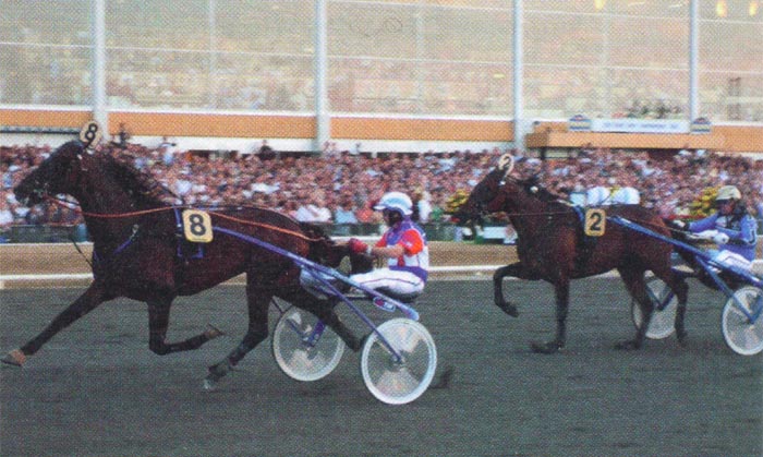 Intact Hornline 30-7-2002.jpg