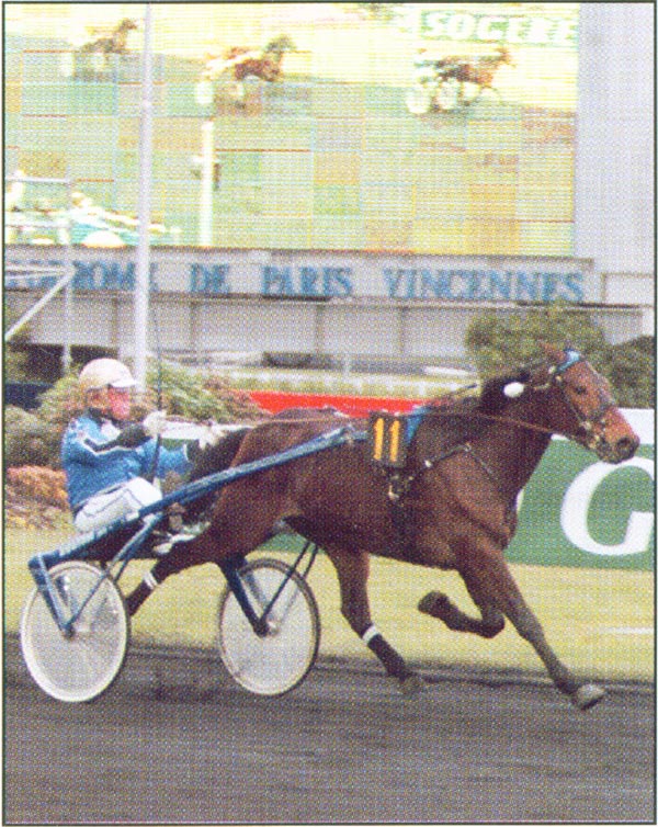 Intact Hornline JR Goug.jpg