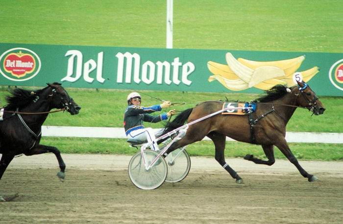 Intact Hornline Sprint Cup 2000.jpg