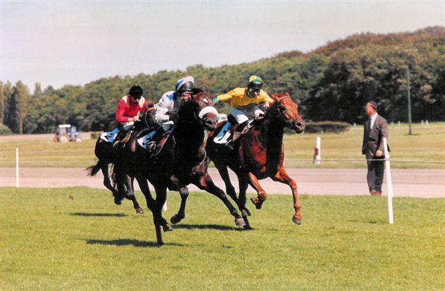 Jules Favre W Pauw 87.jpg