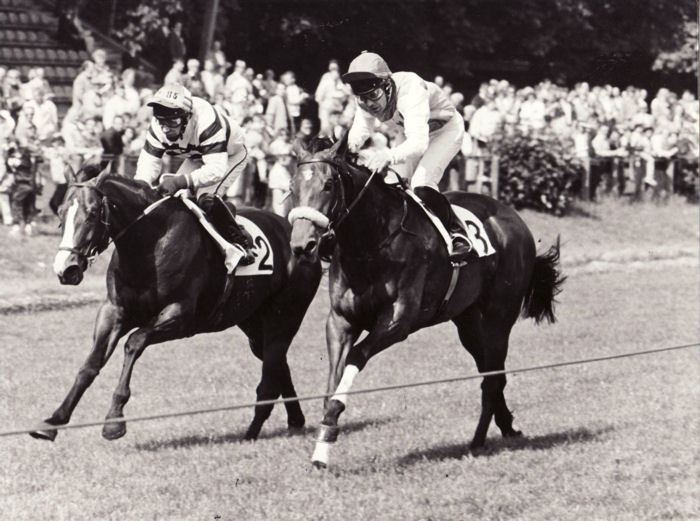 Miss Facette Trial Stakes 86.jpg
