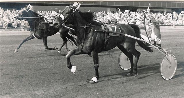 Star of Goldstar PdBesten 86.jpg