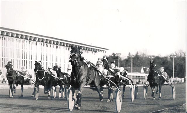 Star of Goldstar WHGeersen 85.jpg