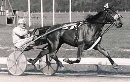 Star of Goldstar.jpg