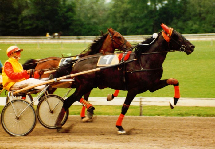 Tony Vitesse Alkmaar 2.jpg