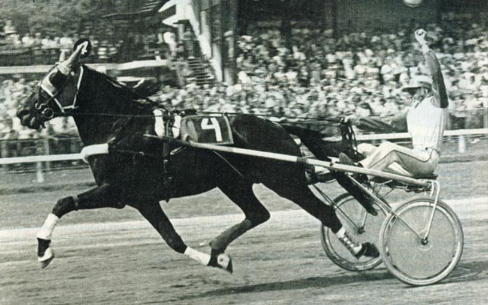 Tony Vitesse Derby.jpg