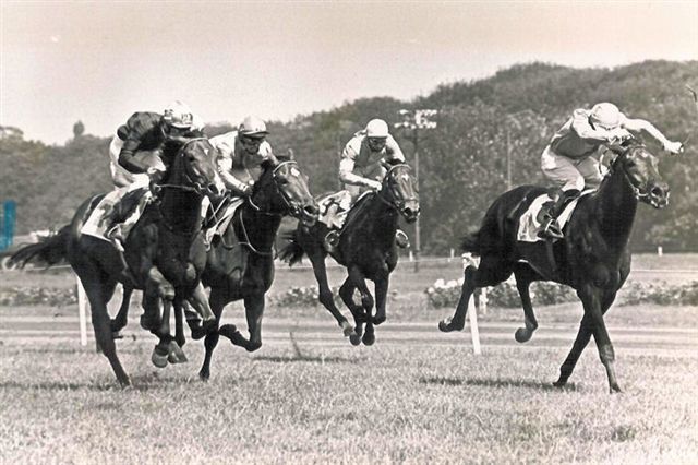 Zilverster Derby 77 b.jpg