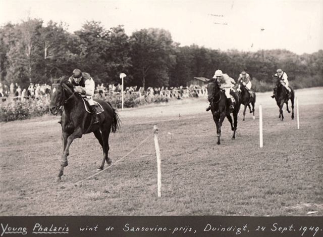 Young Phalaris 24-9-1949.jpg