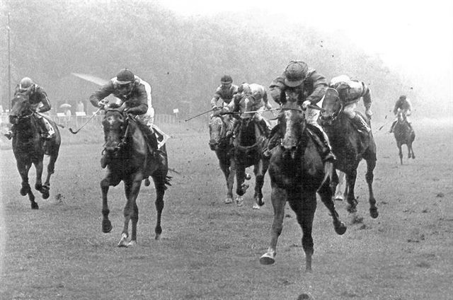 Sasquatch Derby 1972 a (1).jpg