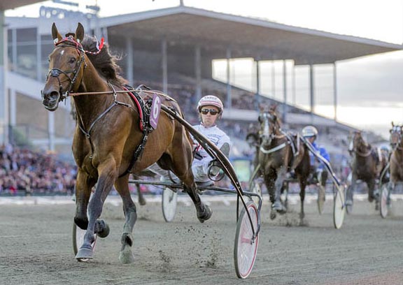 Robert Bi UET 5jar champ 2015.jpg