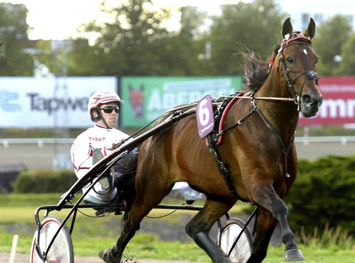 Robert Bi en Robin B Wolvega.jpg