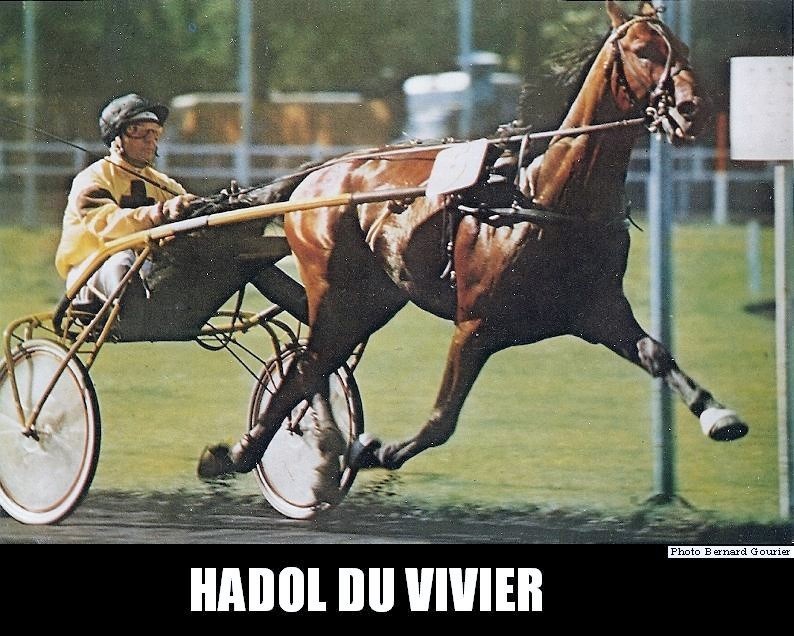 ob_f2c12b_hadol-du-vivier-0003.jpg