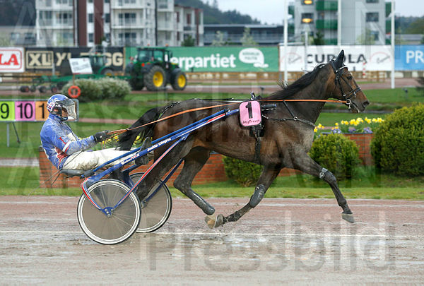 Staro Leonardo heat 1.t5ccffd06.m600.w.4salnwmark2.png.xS0Un6ObF.jpg