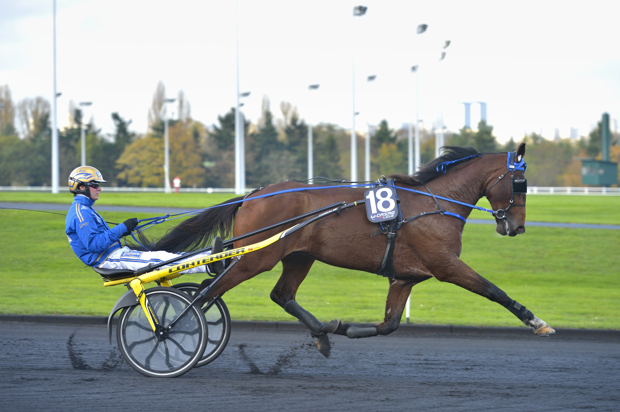 timoko (1).jpg