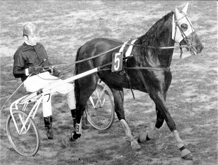 Felix 25-5-1969 e.jpg