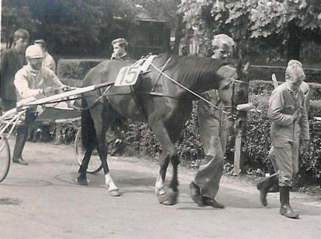 Anton 01.jpg