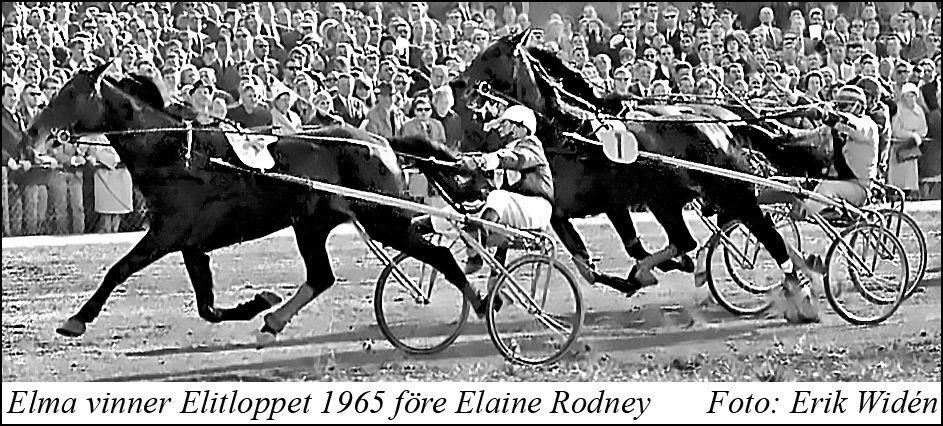 Elitloppet 1965 2.jpg