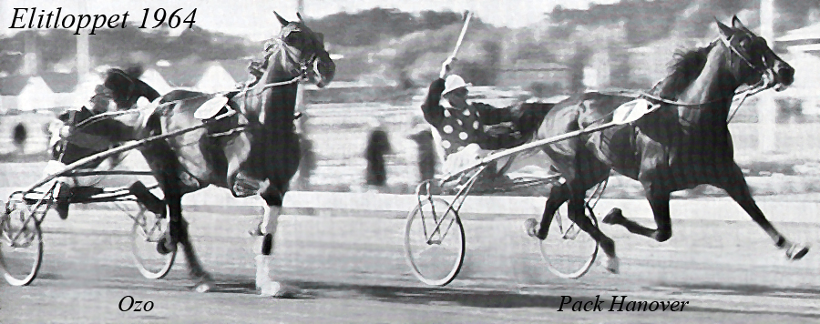 Elitloppet 1964 2.jpg