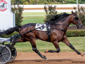 Delayed_Hanover300.jpg