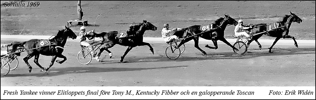 Elitloppet 1969 3.jpg