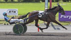 DarleneHanover2020DohertyHPLisa-250x140.jpg