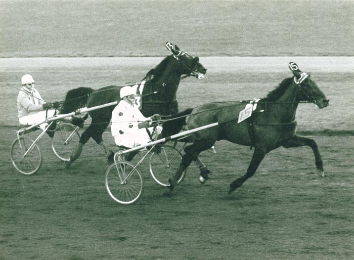 Eland wint Allround Stayers.jpg