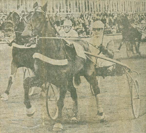 Flamingo GP Stayers 71.jpg