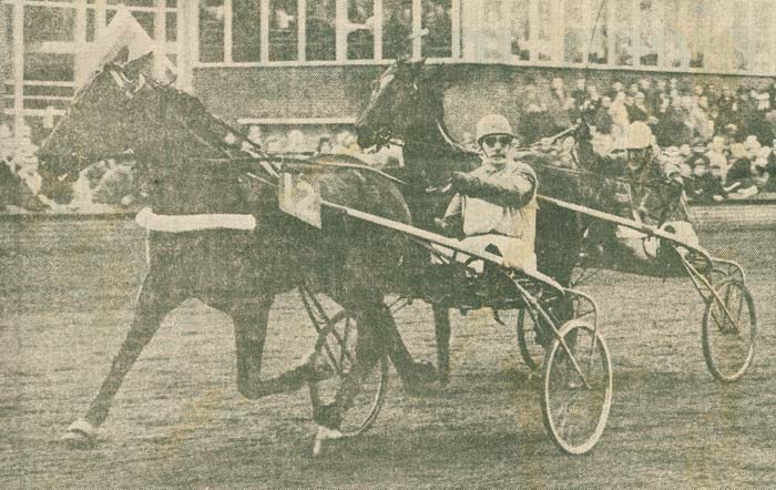 Flamingo Six Hoefslag Wissel 71.jpg