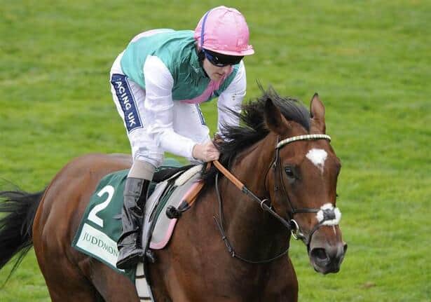 Frankel_horse.jpg