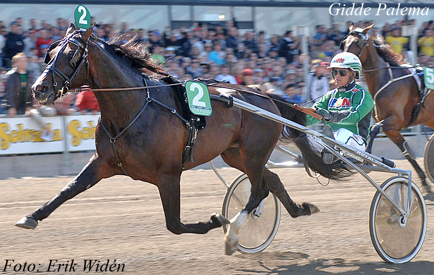 Gidde Palema 1.jpg