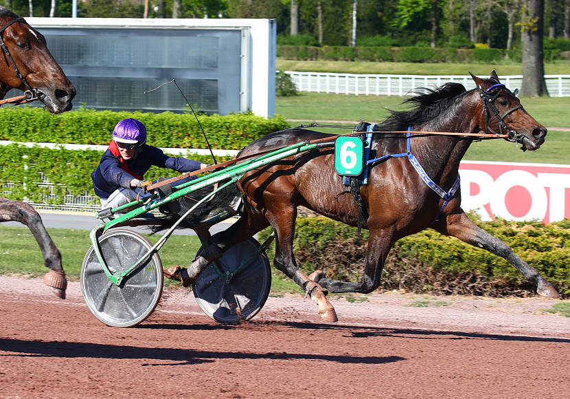 valokaja_hindo_cagnes.jpg