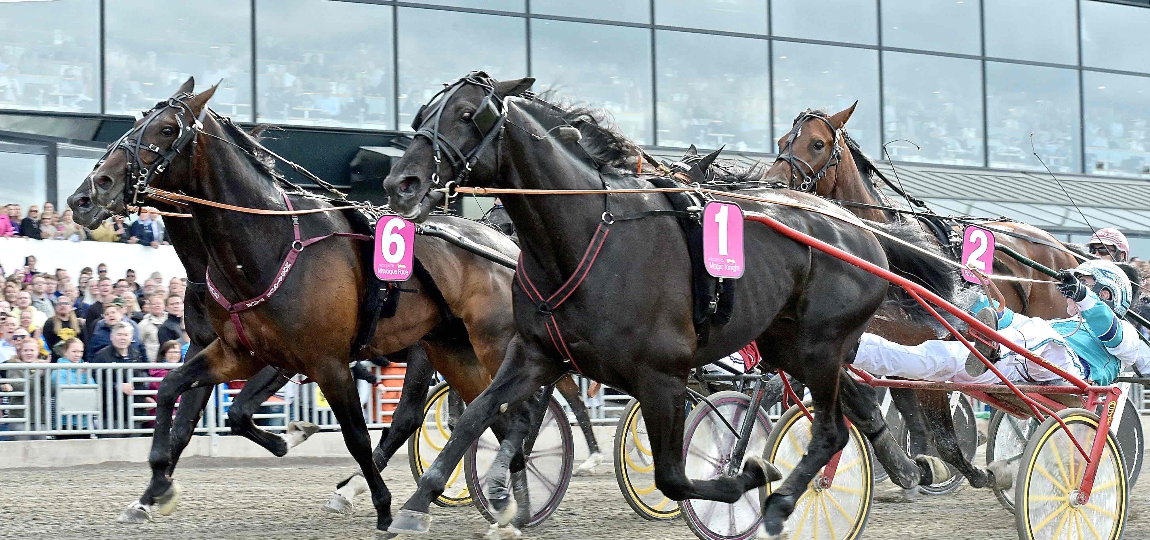 Magic-Tonight-mål-5-hs-hög.jpg