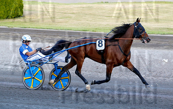 Ble du Gers heat 1.t5f89c05f.m600.w.4salnwmark2.png.xIkIRzX47.jpg
