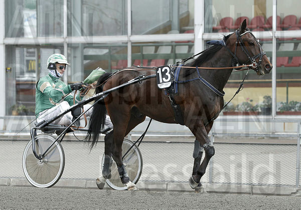 Bara Du Chene def.t606765d6.m600.w.4salnwmark2.png.xwEUUoIEY.jpg
