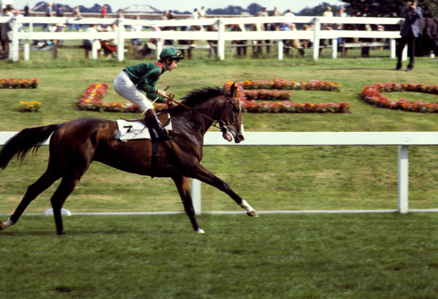 shergar-mid-race-full-color.jpg