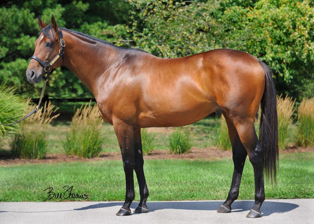 Invasor04-1024x731.jpg