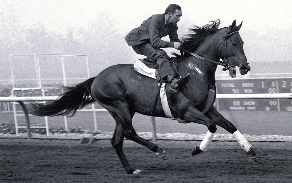 Citation-horse-1024x642.jpg