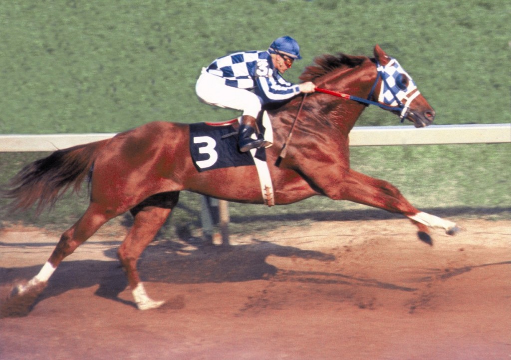 1391787763SecretariatPreakness-1024x721.jpg