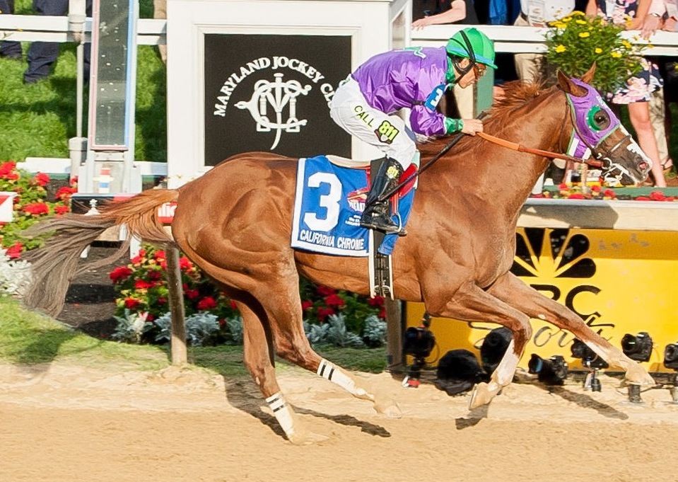 California_Chrome_Preakness_finish.jpg