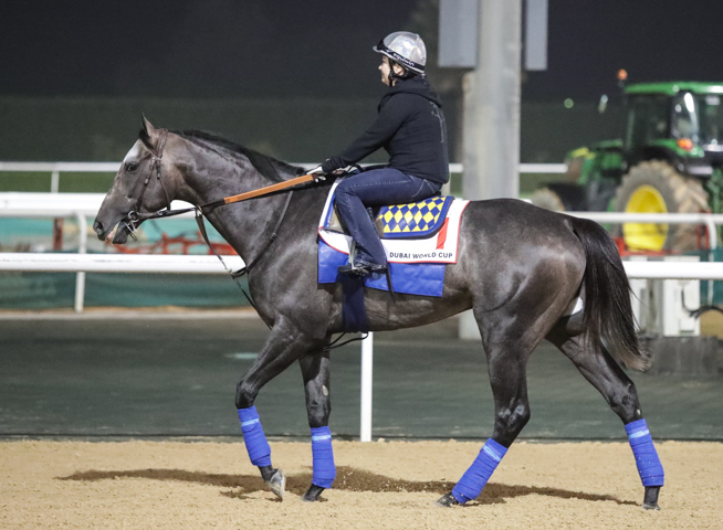 Arrogate-horse.jpg