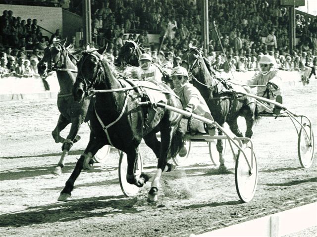 Tydi 840423 openingsprijs.jpg