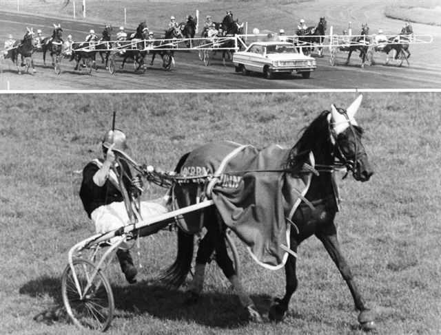 Janky Bz Derby ere.jpg