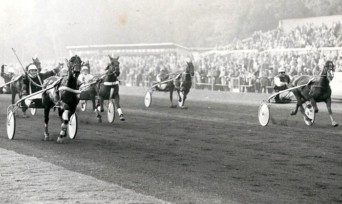 Janky Bz Gold Cup 73.jpg