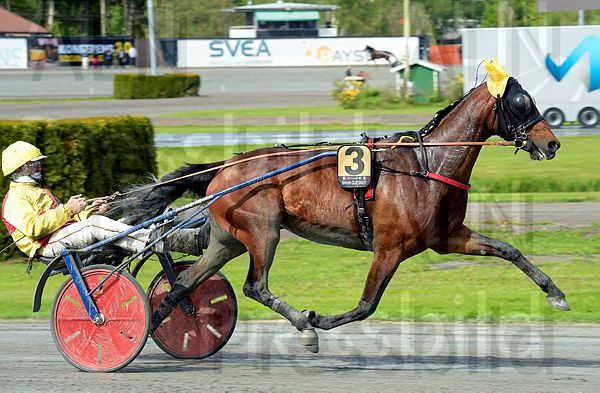 Bahia Quesnot heat 3.t5ceb68c4.m600.w.4salnwmark2.png.xERNELZYF.jpg