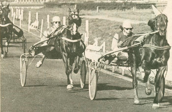 Kaper W leidt voor Kap Scotch.jpg