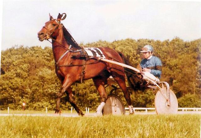 Star van Epse 01.jpg