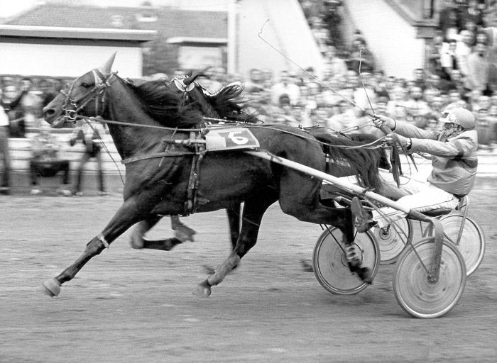 Star van Epse 4km 1982 (1).jpg