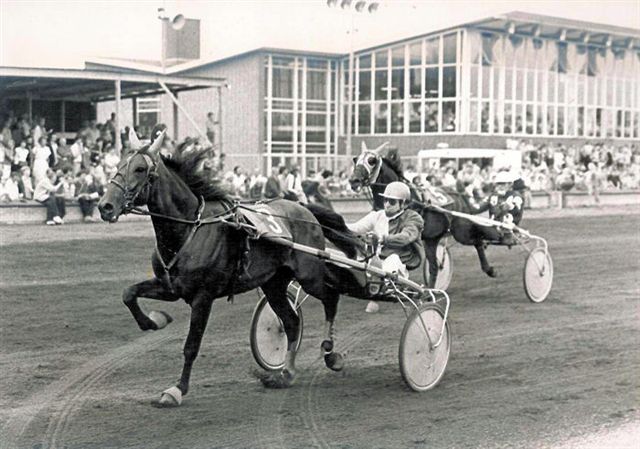 Star van Epse Crit 3j h.jpg