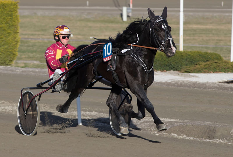 nordby_froy_74j9397-800x540.jpg