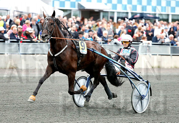 Jaques Noir heat 1.t5b9c016d.m600.w.4salnwmark2.png.xIj9-9I5T.jpg